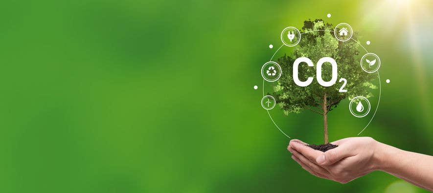 Reduce Your Carbon Footprint