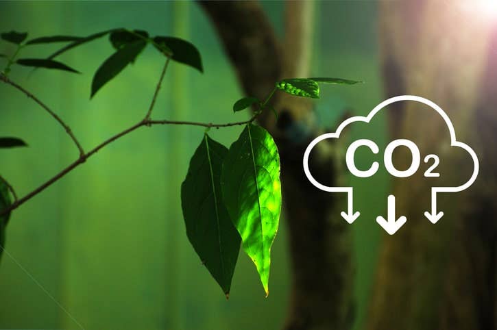 How Paper Shredding Reduces your Business’s Carbon Footprint