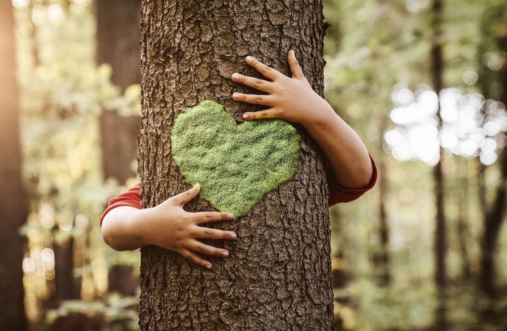 person hugging a tree