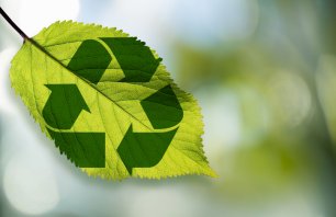 Recycling symbol on a green leaf