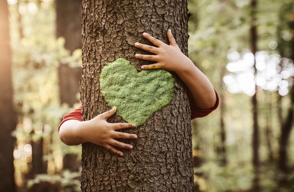 person hugging a tree